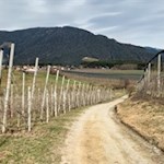 Auf dem Apfelweg um Natz