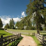 Leichte Wanderung auf dem Salten