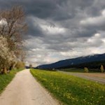 Wandern vom Issinger Weiher nach Pfalzen