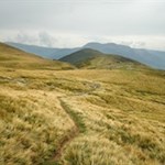 „Am Ziel deiner Wünsche wirst du jedenfalls eines vermissen: dein Wandern zum Ziel.“ (M. von Ebner-Eschenbach)