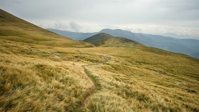 „Am Ziel deiner Wünsche wirst du jedenfalls eines vermissen: dein Wandern zum Ziel.“ (M. von Ebner-Eschenbach)