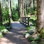 Auf dem Franziskusweg zu den Reinbach Wasserfällen