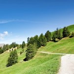 Sanft schlängelt sich der Gsieser Almweg 2.000 durch die liebreizende Almlandschaft