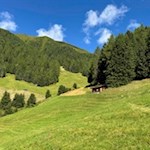 Von den Pichlwiesen ist die Grente Alm nicht mehr fern