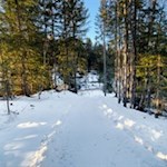 Im Winter zieht sich ein gebahnter Weg zum Häusler Sam