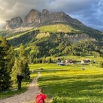 Durch schöne Wiesen zurück zum Karerpass