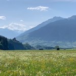 Burg Reifenstein rückt in greifbare Nähe