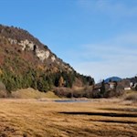 Im Biotop um den Fennberger See sind zahlreiche Tier- und Pflanzenarten beheimatet