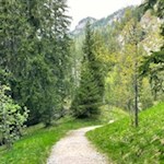 Der Naturerlebnisweg Zans führt durch Wald und Wiesen