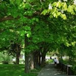 I-Giardini-Rapp-a-Bressanone