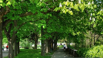 Rappanlage in Brixen