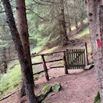 Über den Moosweg zur Kurzkofelhütte in Vals