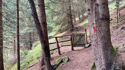 Über den Moosweg zur Kurzkofelhütte in Vals