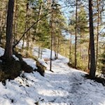 "Stille ist das Element, in dem sich Großes formt" (Thomas Carlyle)