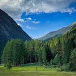 Auf dem Moosweg zur Kurzkofelhütte