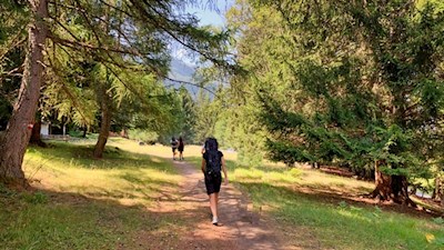 Auf anfangs sanften Wegen zur Latscher Alm