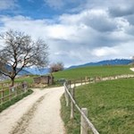 Von Albions führt der Feldweg Nr. 10 in Richtung Fonteklaus