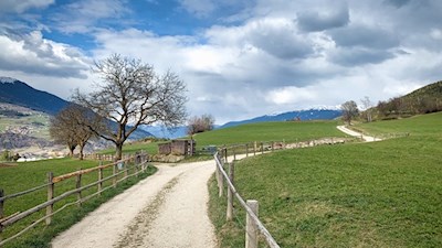 Von Albions führt der Feldweg Nr. 10 in Richtung Fonteklaus