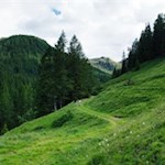 Durch malerische Almwiesen zur Pircheralm