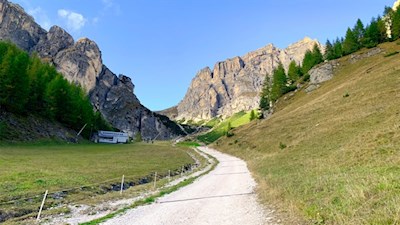 Sanft schlängelt sich der Weg zur Edelweißhütte
