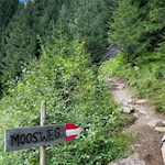 Der Moosweg führt durch den Wald zur Kurzkofelhütte