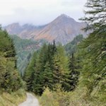 Auf breiten Wegen in Richtung Bodenalm