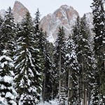 Hinter den Wipfeln der Bäume tauchen die Furchetta und der Sas Rigais auf