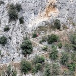 Zigzagando verso Pregasio