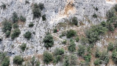 Zigzagging to Pregasio