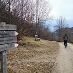 Spaziergang-auf-dem-Völser-Rundweg