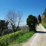 On the way to the Rocca di Garda