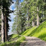 Sanft steigt der Weg zur Almhütte Messnerjoch an