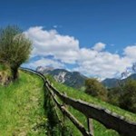 Der Bergbauernweg führt durch sattgrüne Wiesen