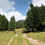 The hiking trail no. 5 leads through meadows and forests to Ortisei