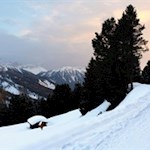 Sanfte Winterwanderung bei Brixen
