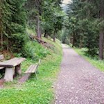 Durch den Wald in Richtung Moschwaldalm