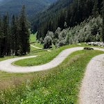 Im angenehmen Anstieg schlängelt sich der Weg zur Göge Alm