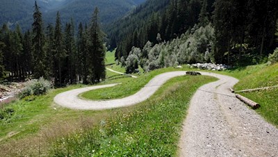Im angenehmen Anstieg schlängelt sich der Weg zur Göge Alm