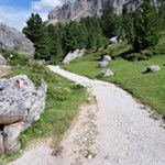 Auf dem sanften Weg Nr. 8B zur Göma Hütte