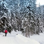 Winterwanderung zum Wildbad Innichen