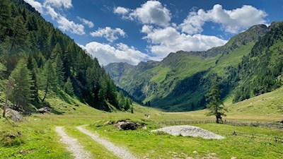 Hinter der Bergalm setzt sich die Wanderung zur nahen Ontrattalm fort