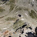 Auf dem Rückweg von der Napfspitze zur Edelrauthütte