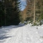 Rodelbahn von der Hühnerspiel Hütte