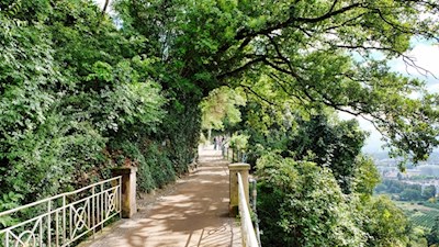 Der Tappeinerweg wurde 1892 angelegt