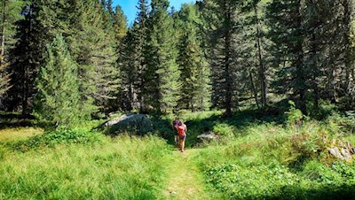 Der Weg zu den Schrüttenseen führt durch schattenspendende Wälder