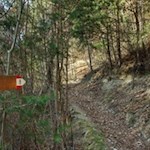 Abzweigung am Ende des Riggertals in Richtung Schabser Hochfläche