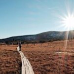 Auf sicheren Bretterstegen durch die Villanderer "Mooswiesen"