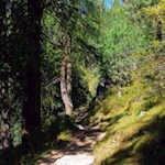 Auf dem Adolf-Munkel-Weg