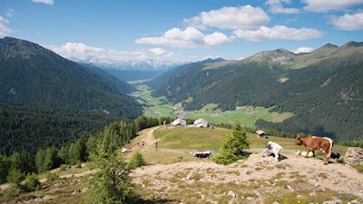 Rückwärtsgewandter Blick auf die Uwaldalm während des Anstiegs auf das Hochkreuz