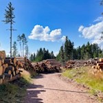 Das Sturmtief Vaja hat am Lavazejoch deutliche Spuren hinterlassen